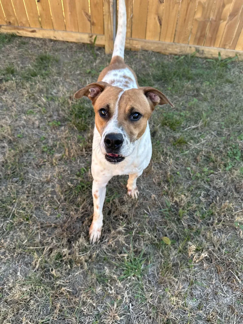 Raymond James thumbnail 3