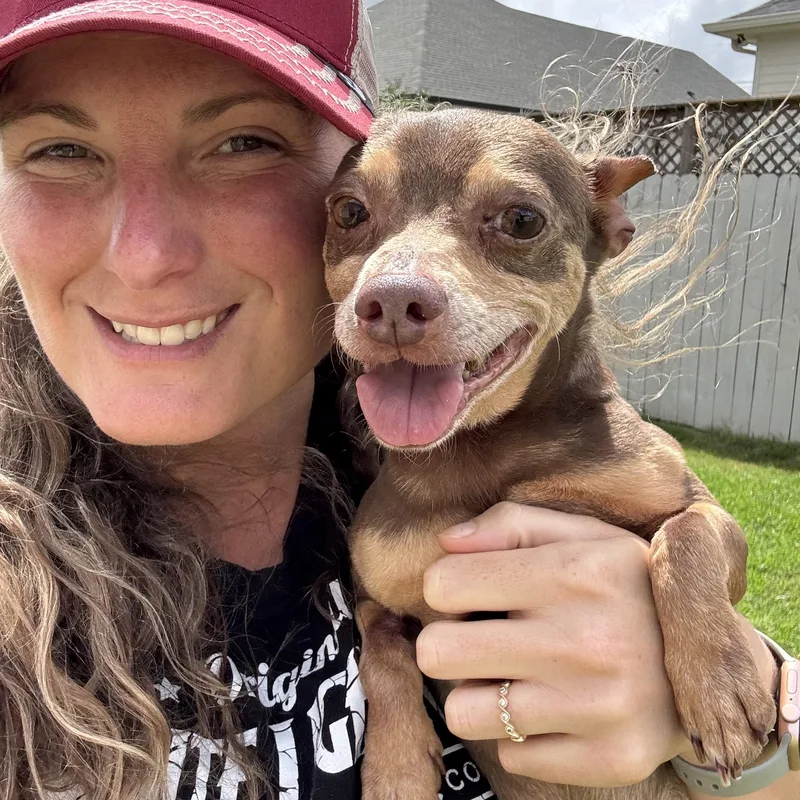 Slippers thumbnail 6