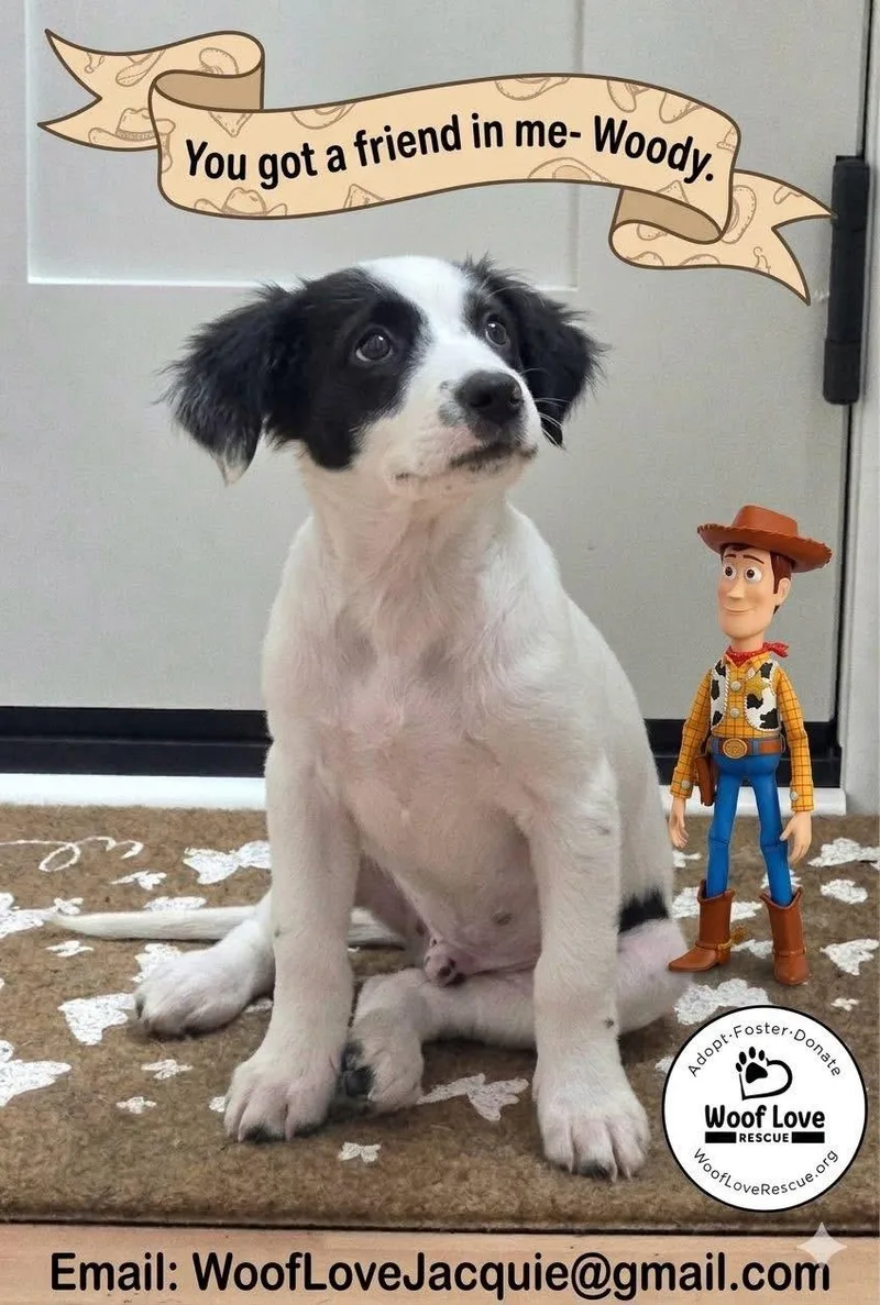 Woody thumbnail 3