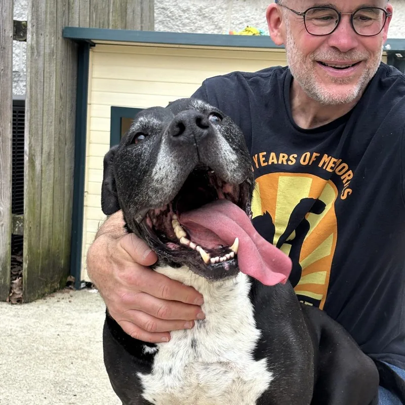 Maverick thumbnail 4