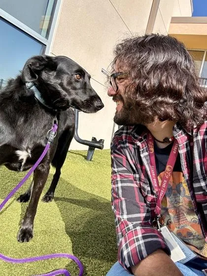 An adult large-sized female Mixed Breed dog named Shadow for adoption in Wichita, KS