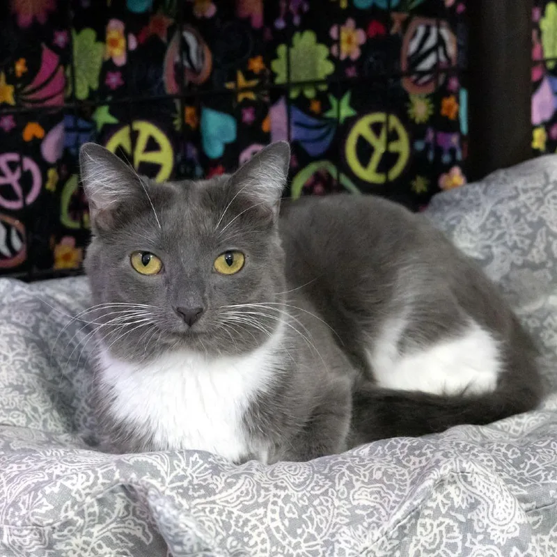 Ella Mae thumbnail 2