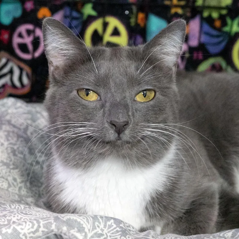 Ella Mae thumbnail 3