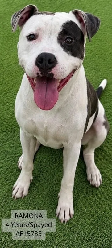 Ramona