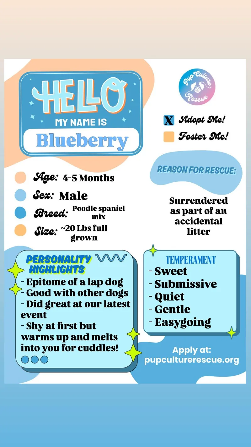 Blueberry thumbnail 4