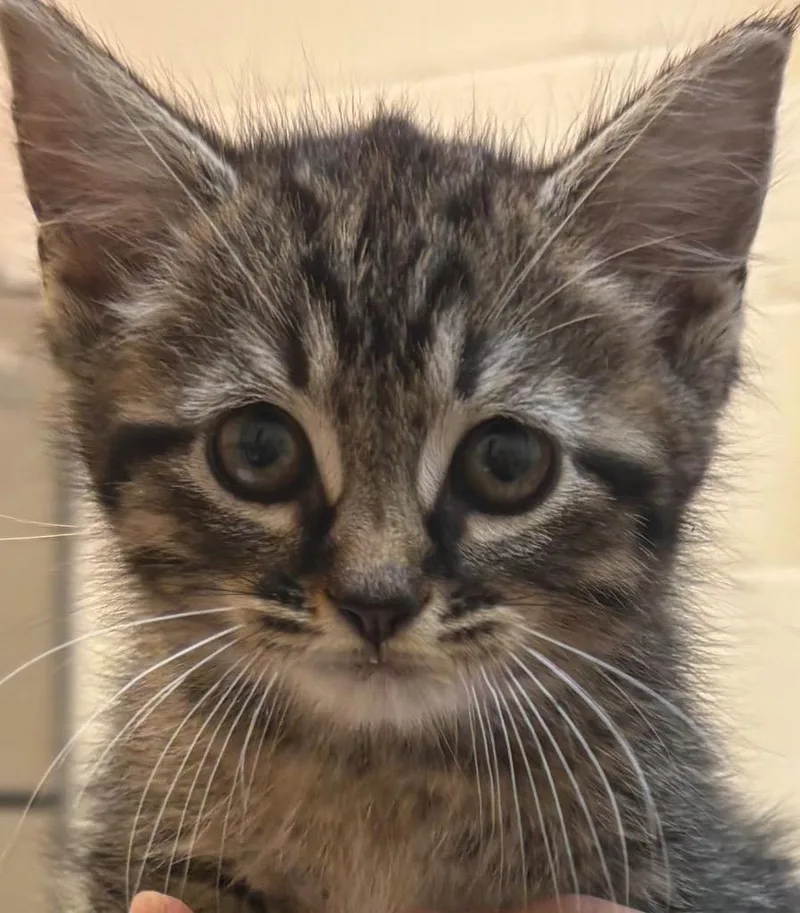 Tina