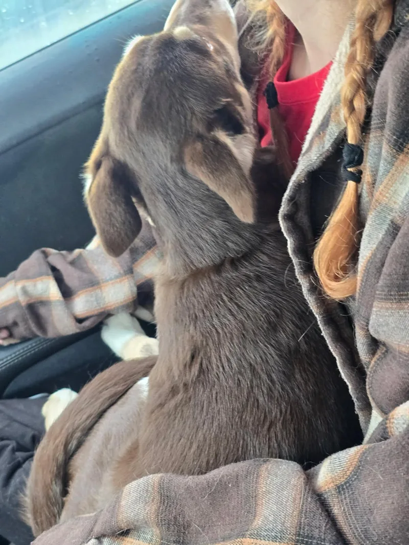 Baby Snickers thumbnail 2