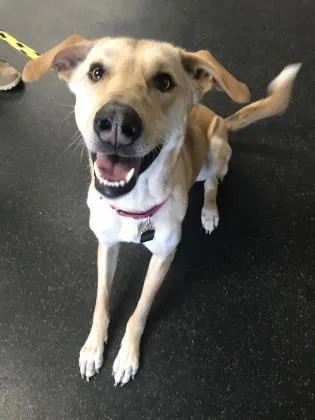 Samantha thumbnail 2