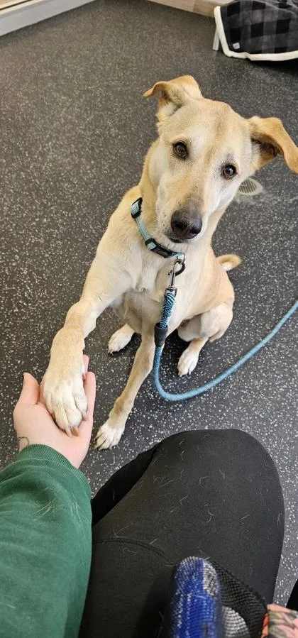 Samantha thumbnail 3