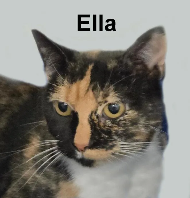 Ella Ricc. thumbnail 2
