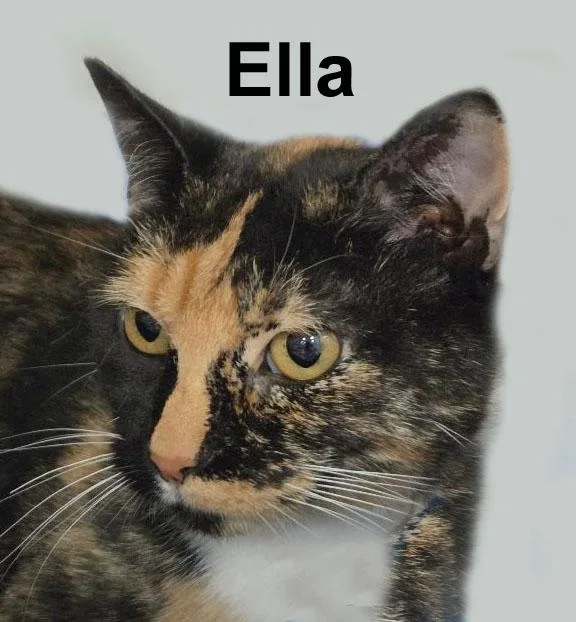 Ella Ricc. thumbnail 4