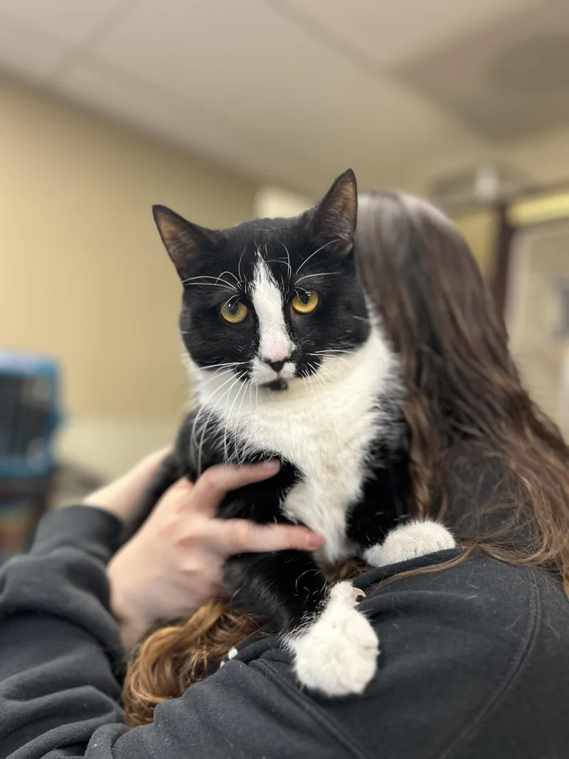 Demarcus thumbnail 2