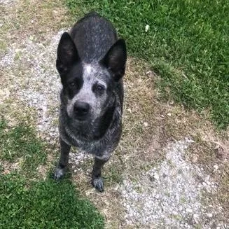 Nellie thumbnail 3