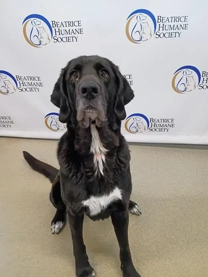 Lady Bird thumbnail 2