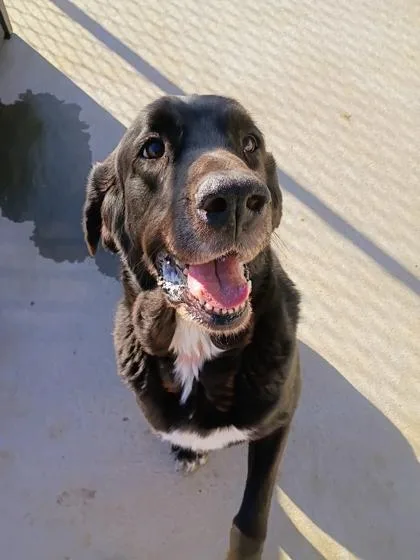 Lady Bird thumbnail 3