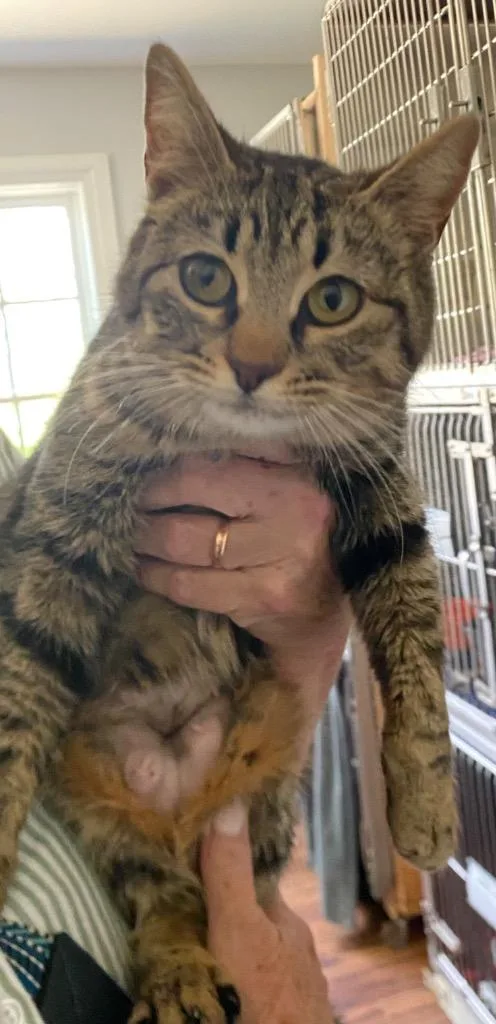 Merideth thumbnail 2