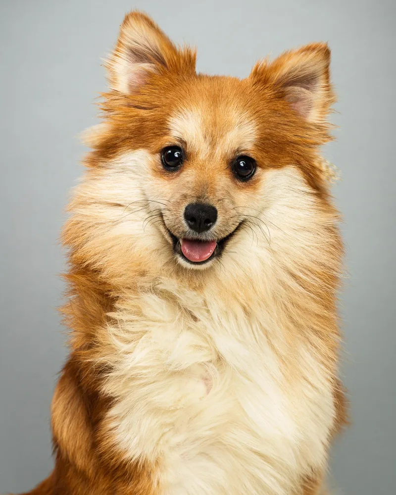 Trudy  Long Coat thumbnail 3