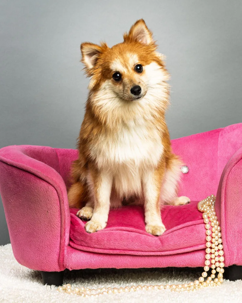 Trudy  Long Coat thumbnail 4