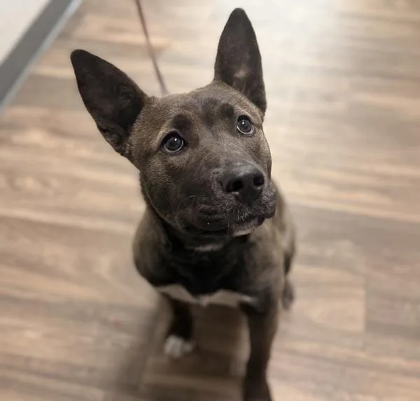 Oceanwater thumbnail 2