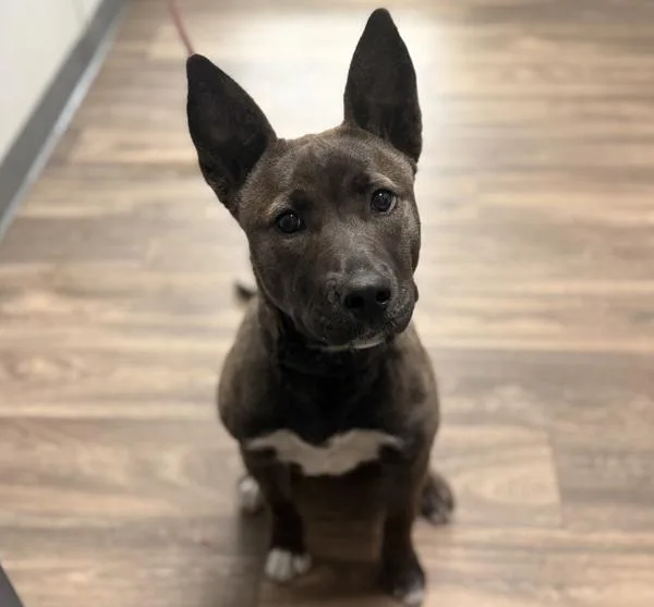 Oceanwater thumbnail 3