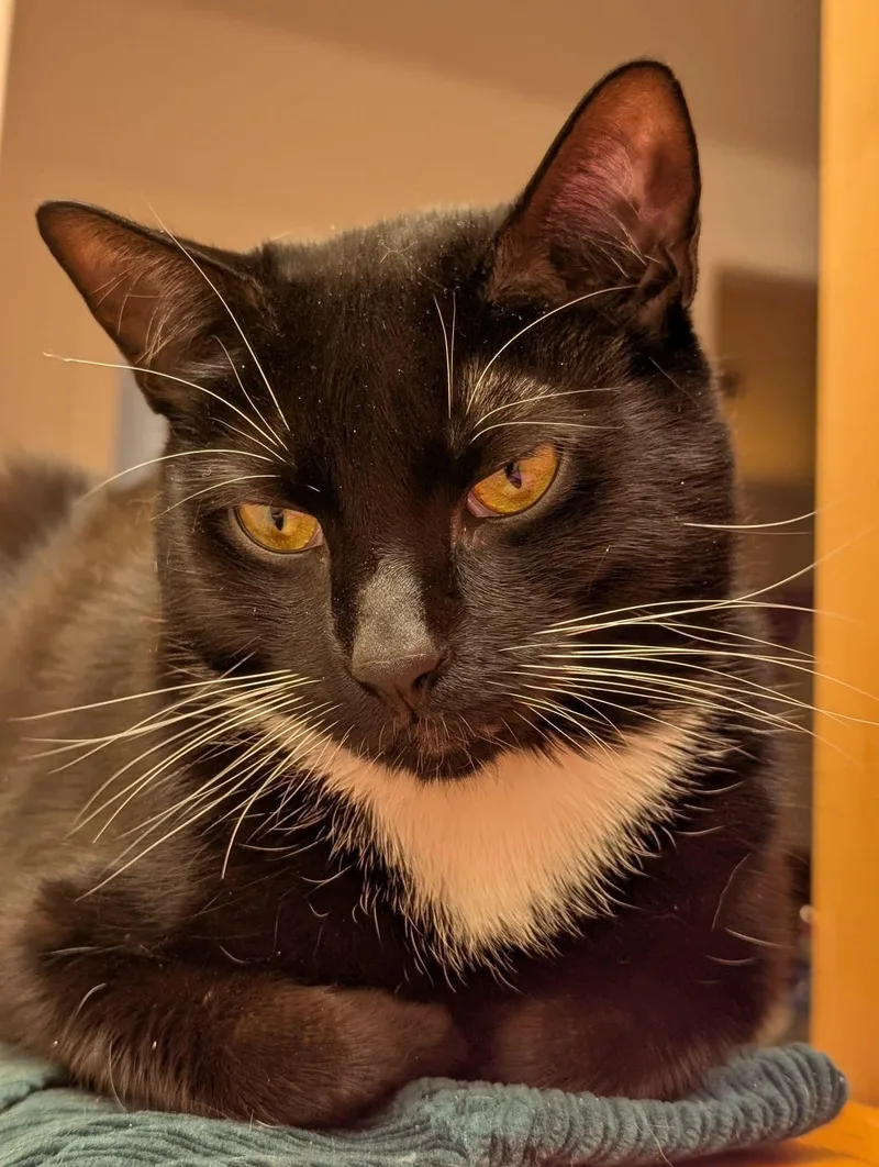 Noah  Playful & thumbnail 5