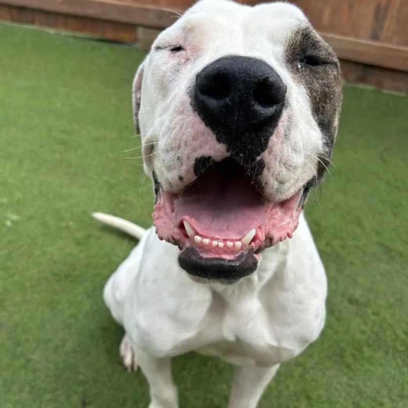 Sebastian thumbnail 2