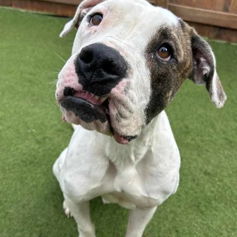 Sebastian thumbnail 5