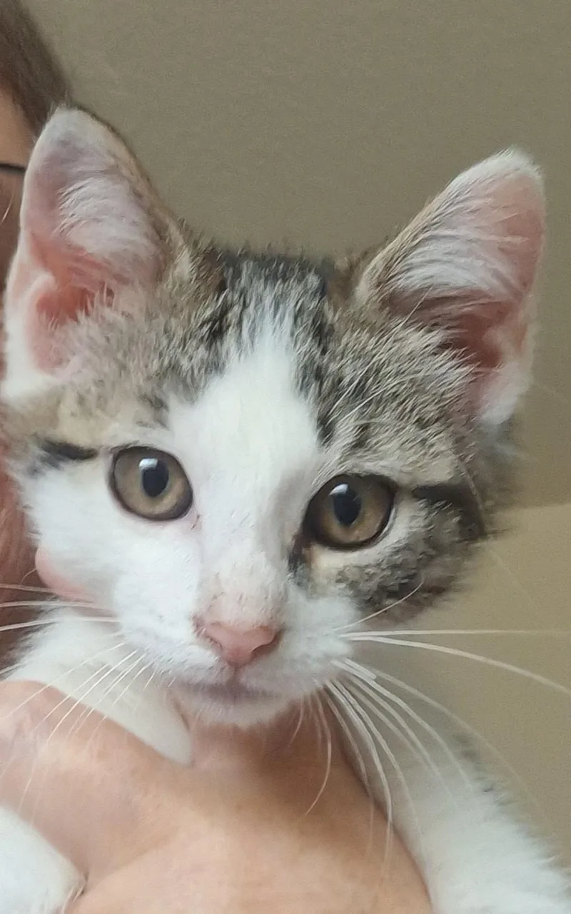 Jake And Elwood thumbnail 3