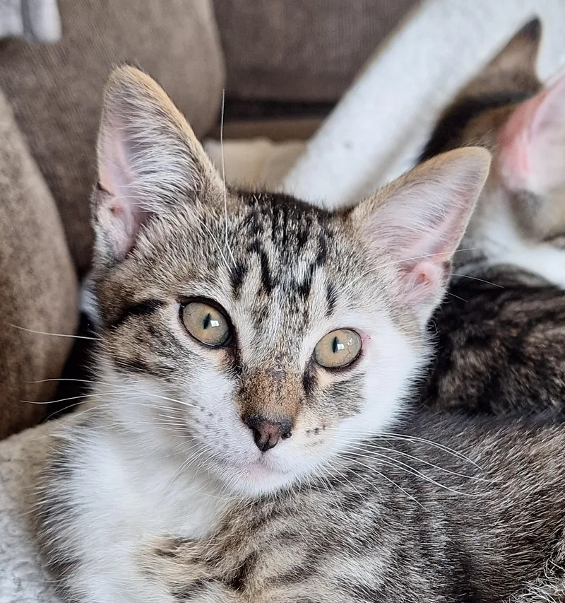 Jake And Elwood thumbnail 4