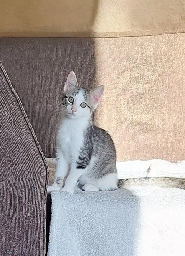 Jake And Elwood thumbnail 5