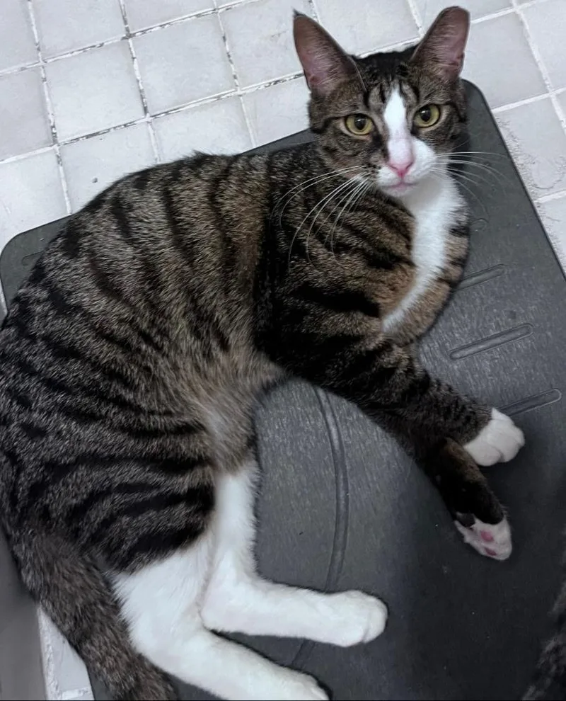 Saturday thumbnail 3