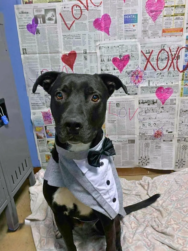 Kristoph thumbnail 3