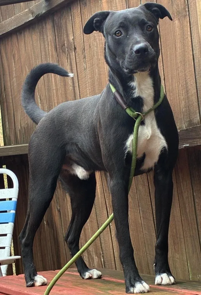 Kristoph thumbnail 6