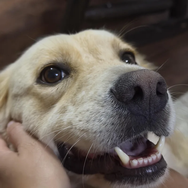 Betty thumbnail 3