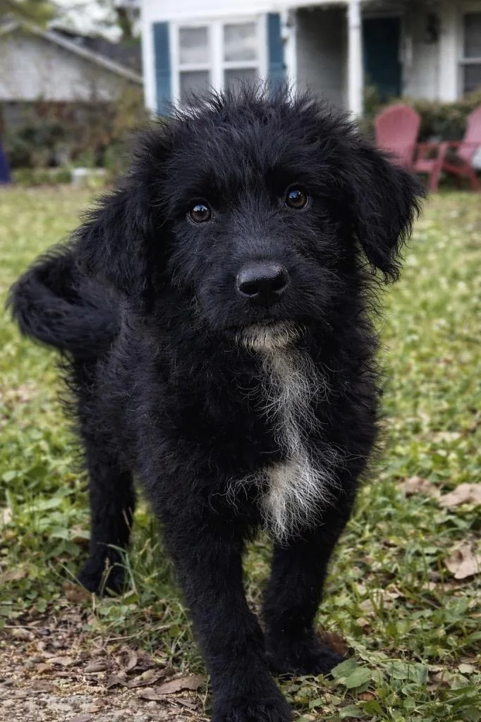 Cogsworth thumbnail 2