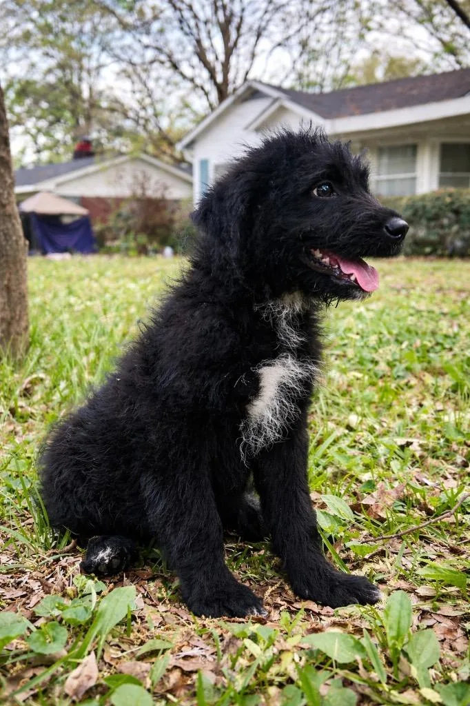 Cogsworth thumbnail 3