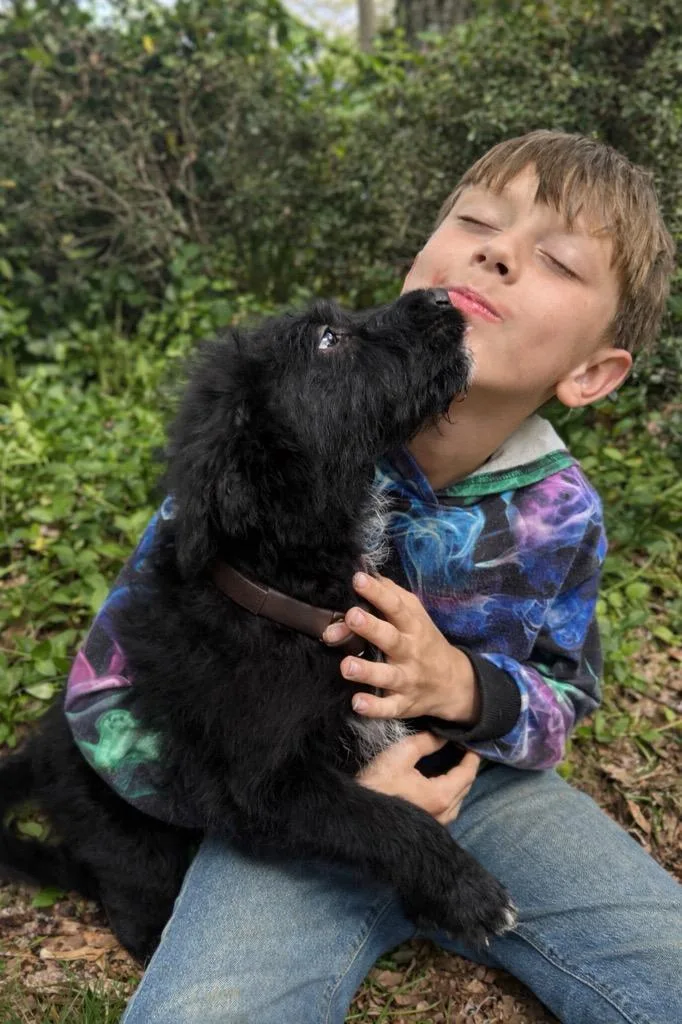 Cogsworth thumbnail 4