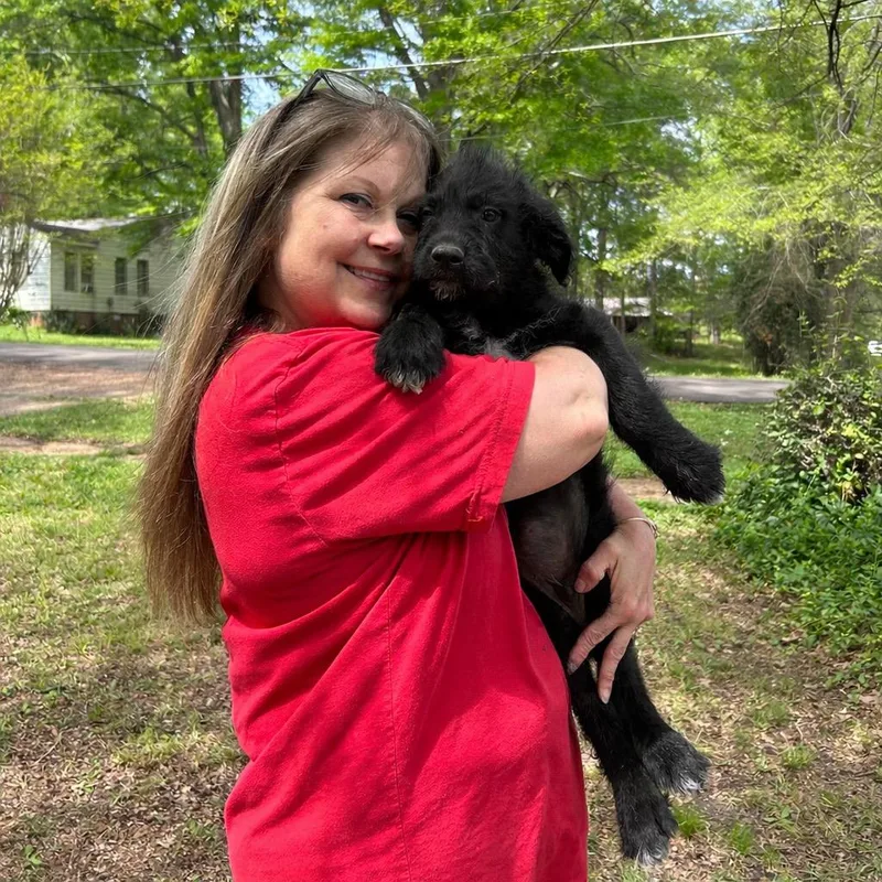 Cogsworth thumbnail 5