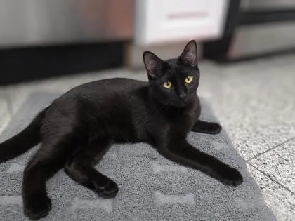 Baby Riku thumbnail 2