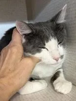 Dottie And Silver Surfer