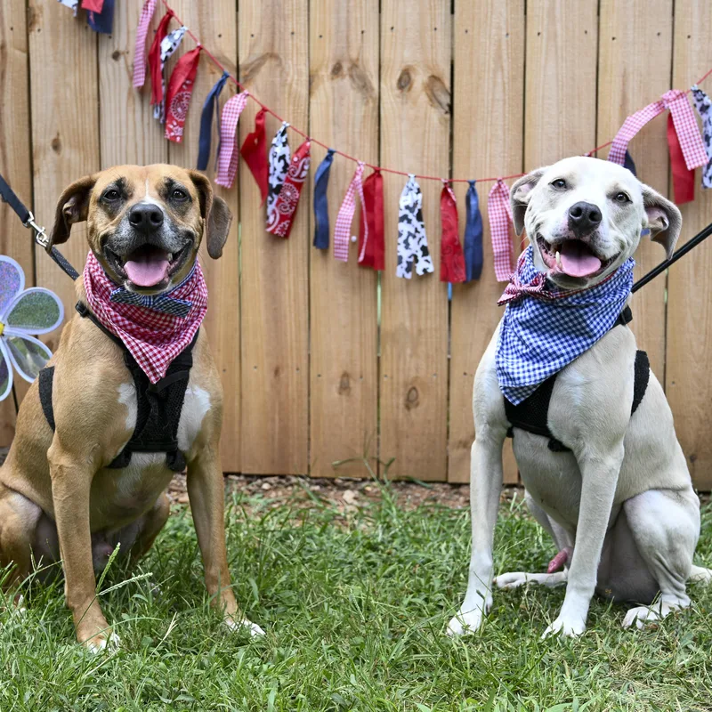 Hunter & Hayes thumbnail 3