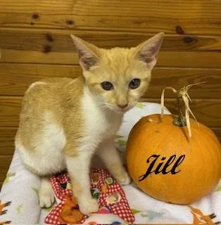 Jill Munroe thumbnail 3