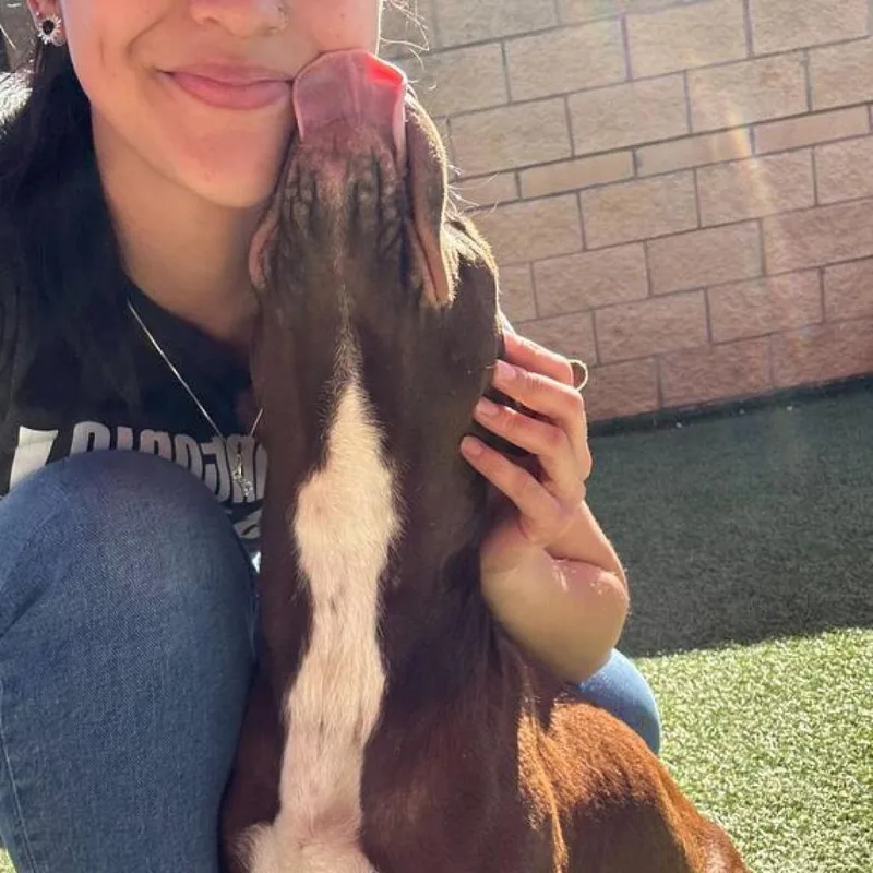 Renegade thumbnail 5