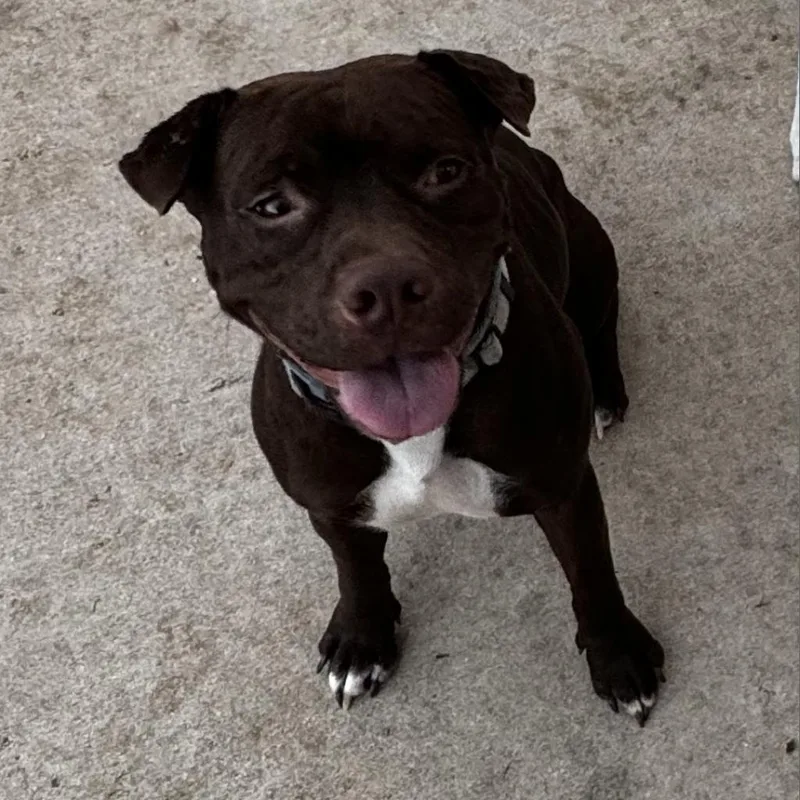 Renegade thumbnail 6