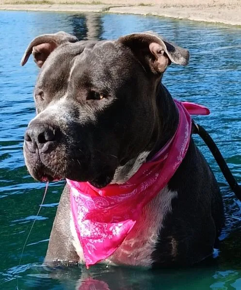 Antonia: The Perfect Embodiment thumbnail 3