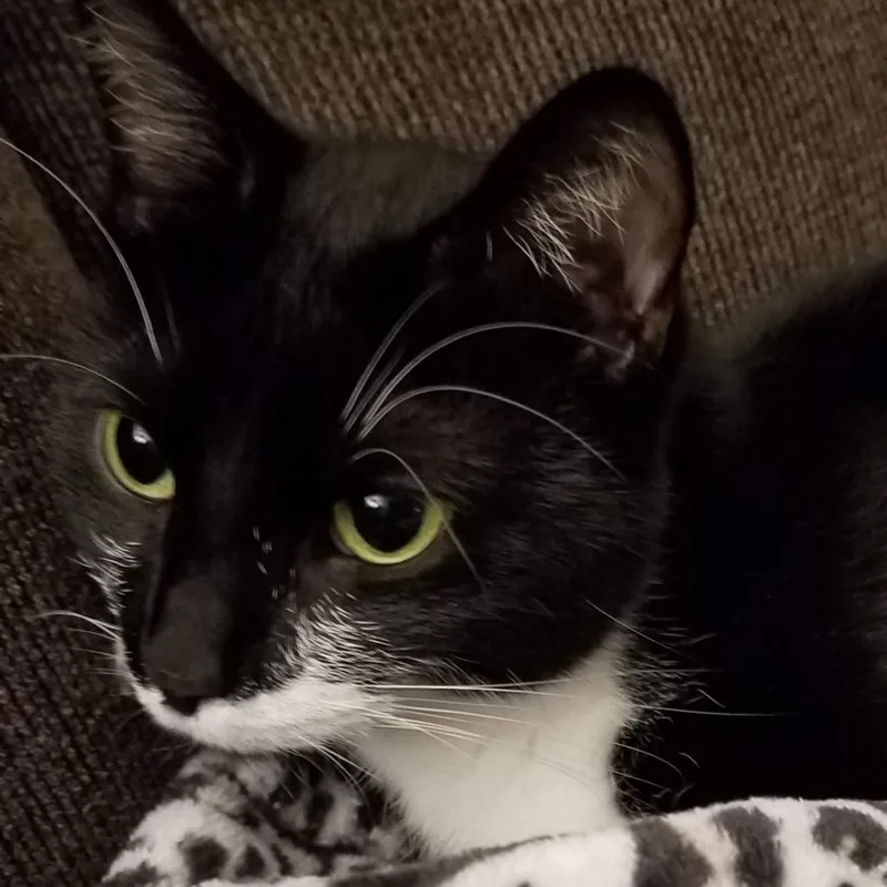 Rosie