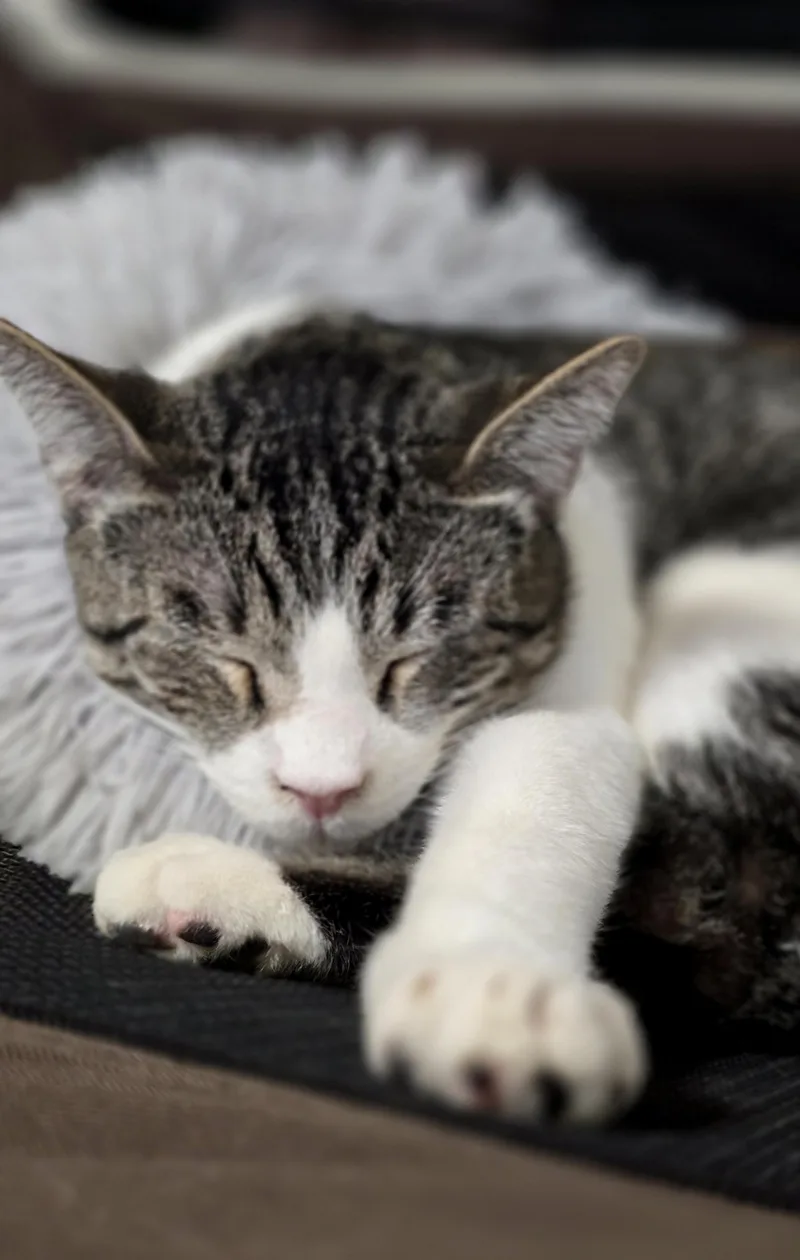 Buster thumbnail 5