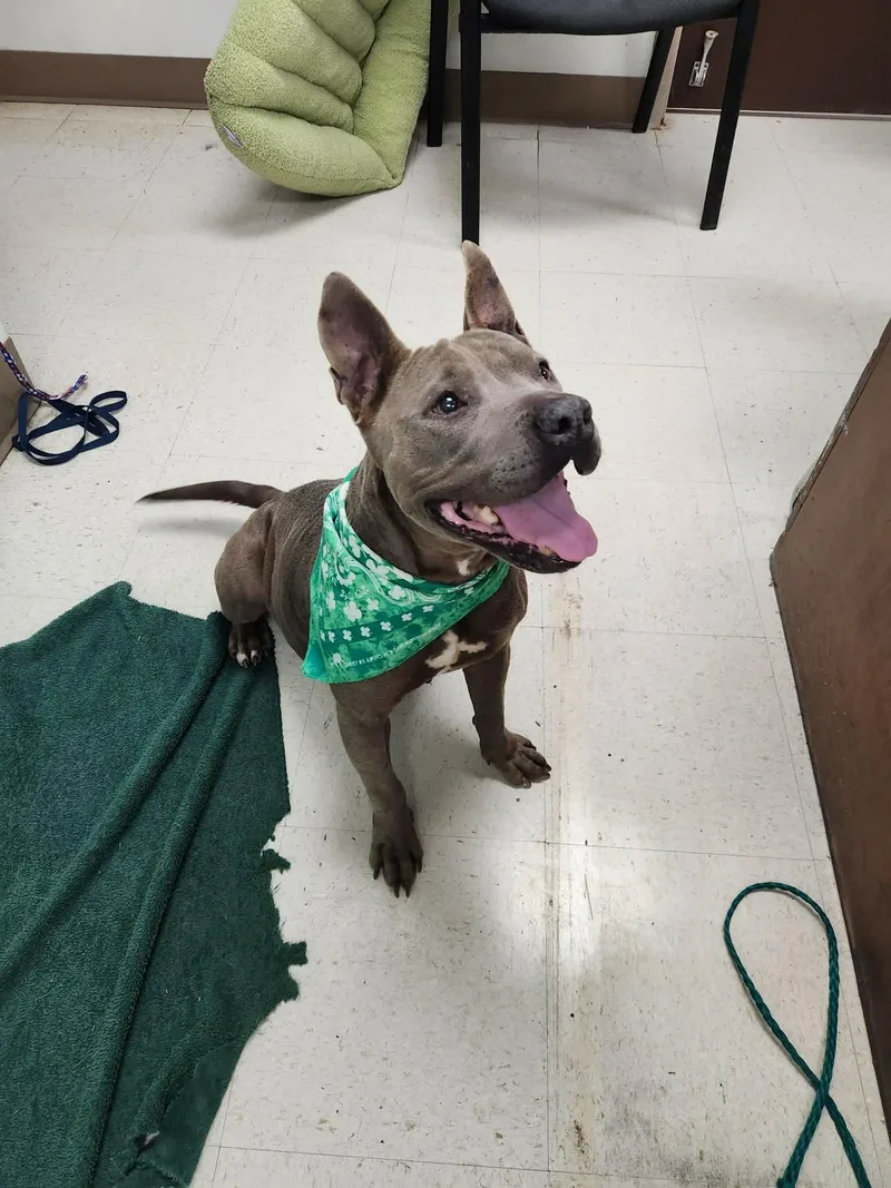 Freya Coming Soon To thumbnail 2