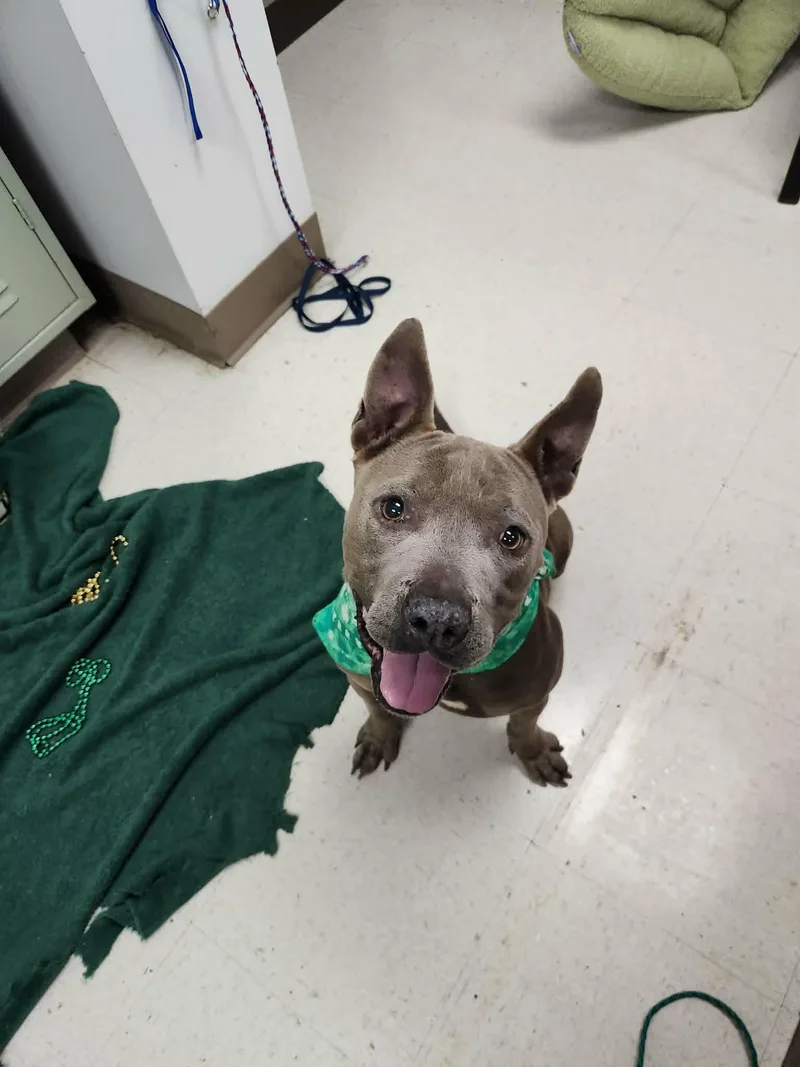 Freya Coming Soon To thumbnail 3