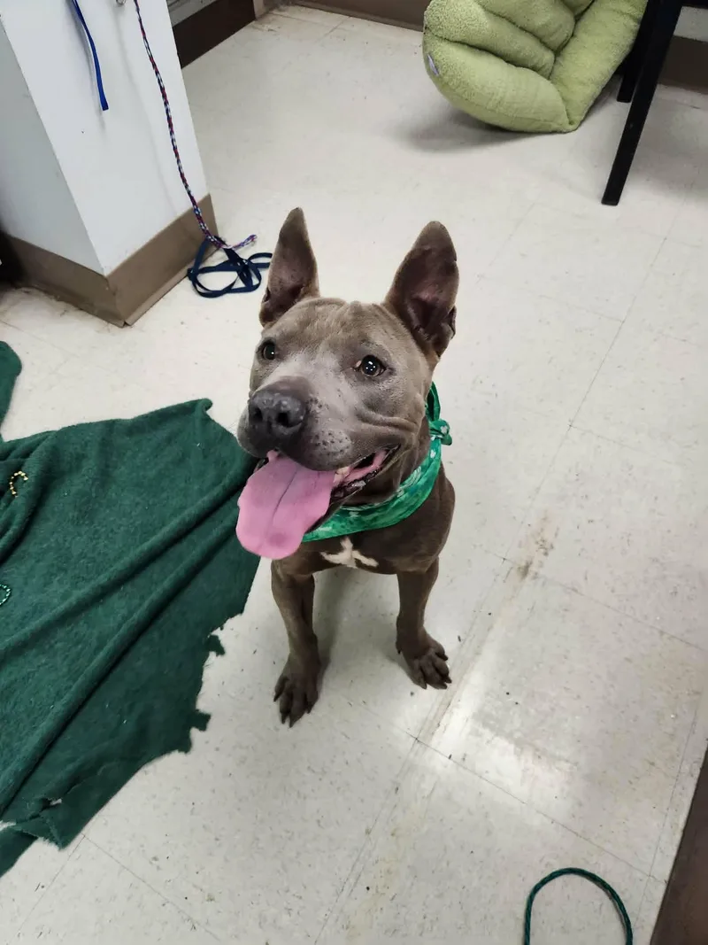 Freya Coming Soon To thumbnail 4